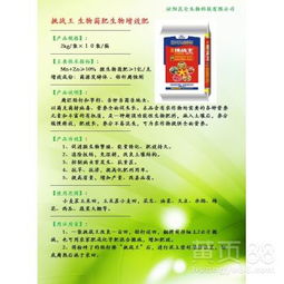 生物菌肥在蔬菜田土壤改良中的應用 專屬型土壤改良劑的研發(fā)探索