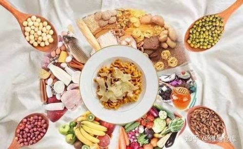 漫談營養(yǎng)科學與功能性食品 中國市場的土壤與機會——兼論土壤改良劑的研發(fā)啟示